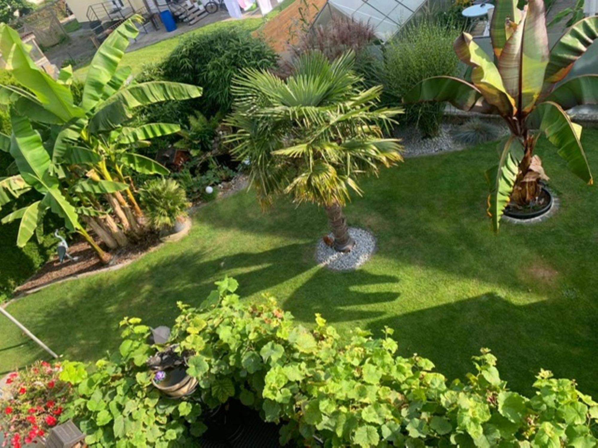 Comfort Apartment Buchhorn FDH المظهر الخارجي الصورة